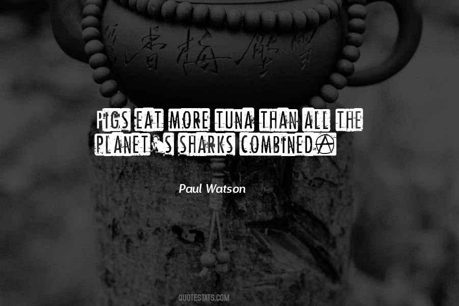 Tuna Can Quotes #145251