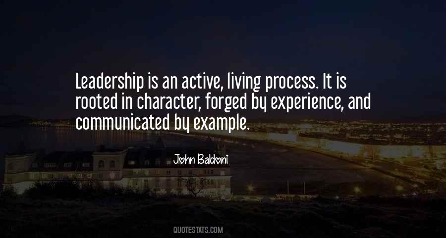 Experience Leadership Quotes #1211190