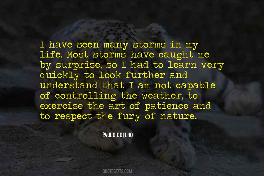 Storms In My Life Quotes #996227