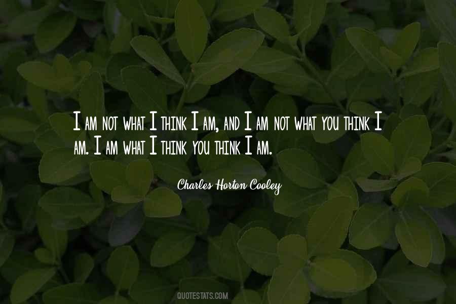 Am Not What You Think Quotes #222667