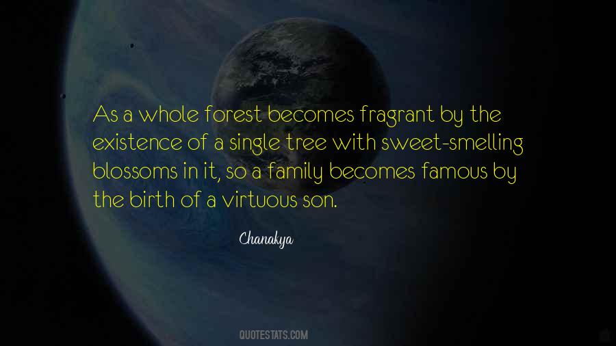 Sweet Son Quotes #119571