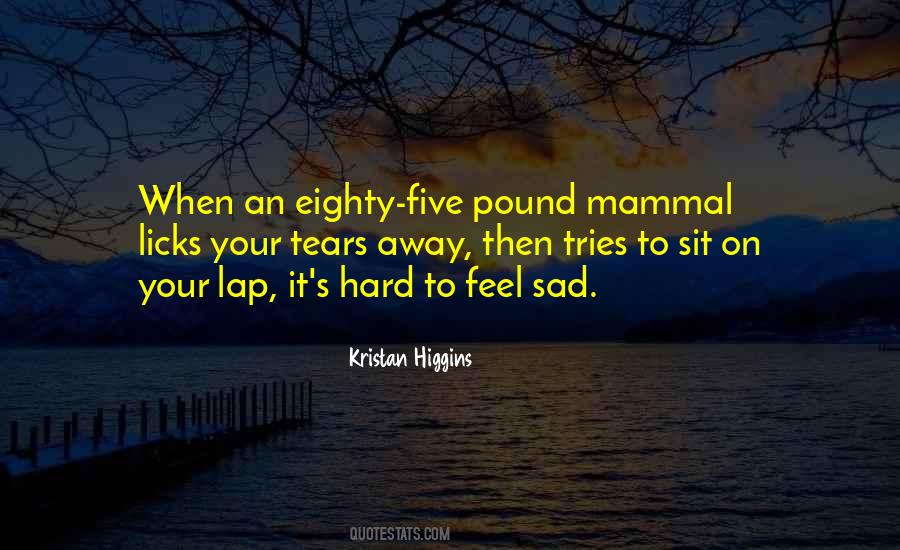 Sit On His Lap Quotes #1078812