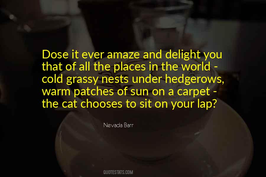 Sit On His Lap Quotes #975548