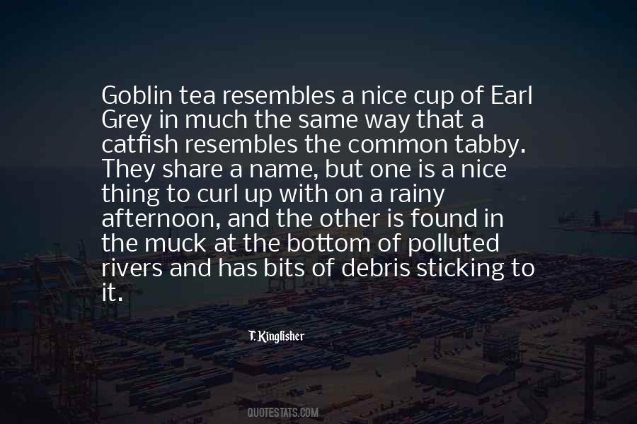 Nice Cup Of Tea Quotes #1232375