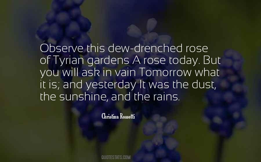 Rain Sunshine Quotes #1463764