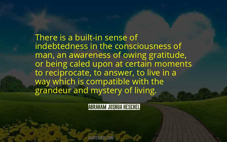 Quotes About Being A Mystery #1822194