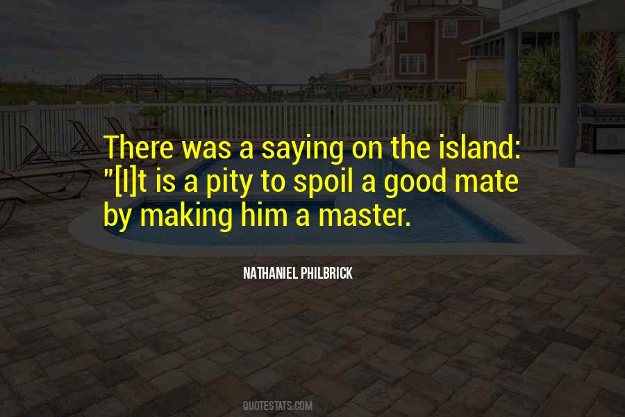 I Am An Island Quotes #21022