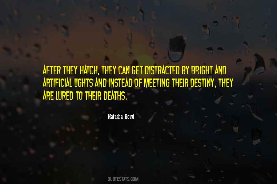 Quotes About Get Distracted #1558797