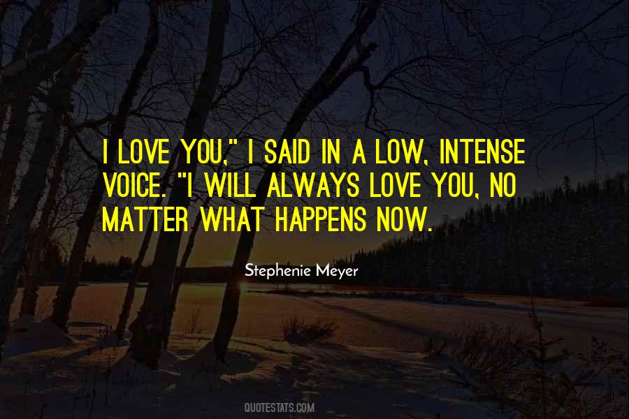 I Will Love You No Matter What Quotes #342719