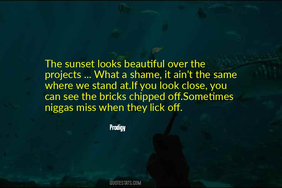 A Beautiful Sunset Quotes #1175941
