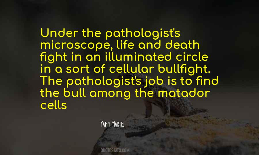 Life Analogy Quotes #1666207