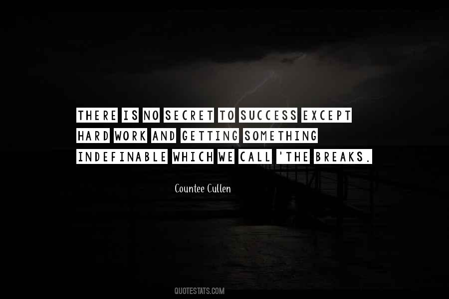 No Secret To Success Quotes #324027