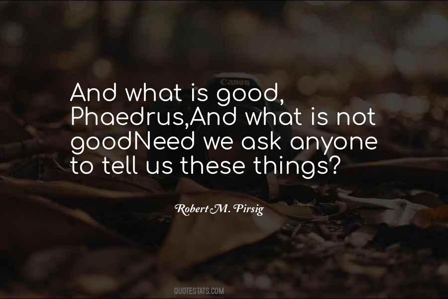 And What Is Good Phaedrus Quotes #1874315 And What Is Good Phaedrus Quotes #1874315