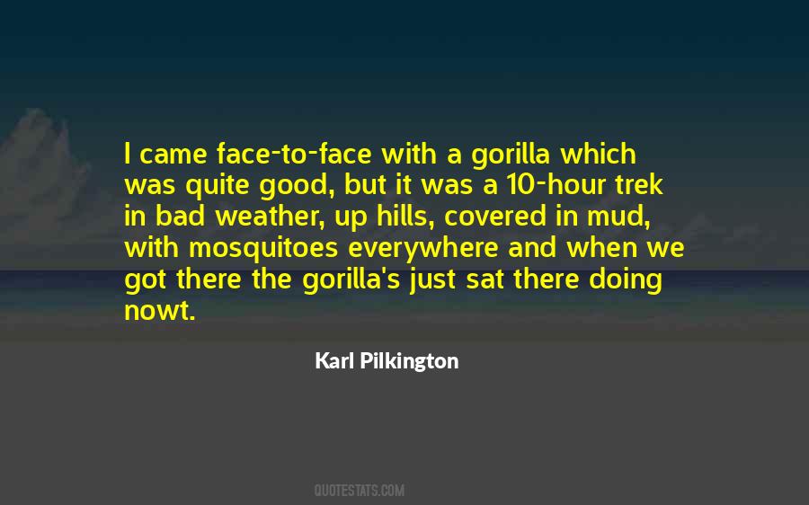Just A Face Quotes #157415