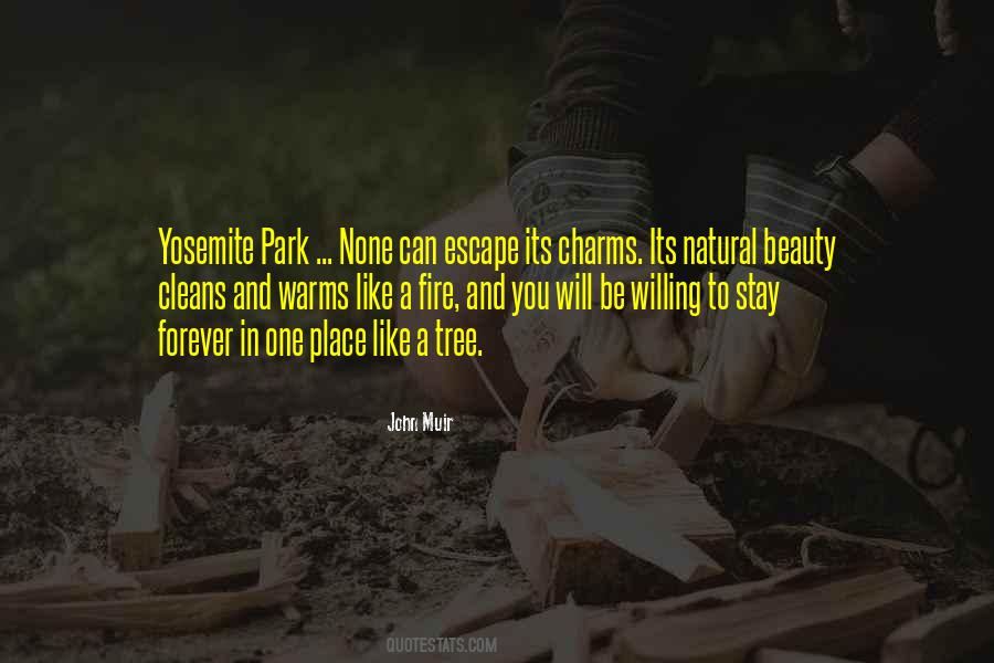 Who Cleans Quotes #151098