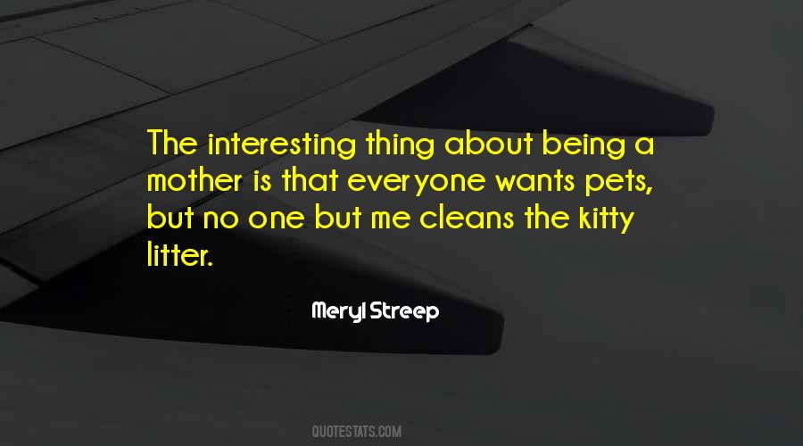 Who Cleans Quotes #850988