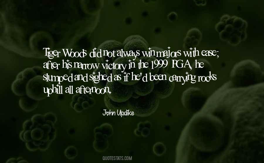 After Victory Quotes #690601