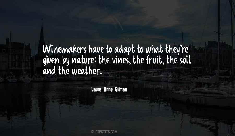 Quotes About Nature Weather #850414