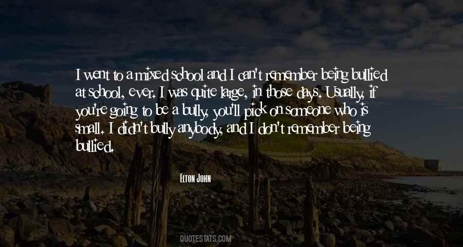 Being A Bully Quotes #487426