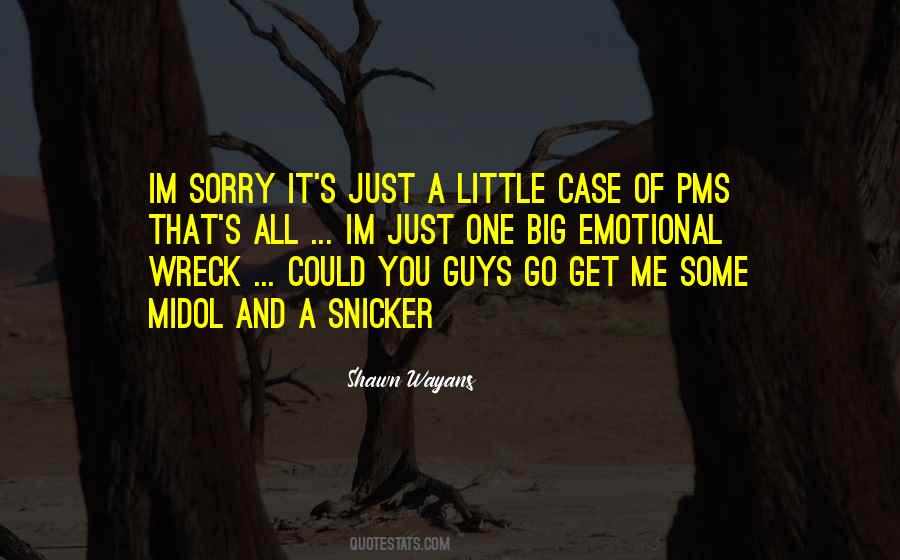 Some Sorry Quotes #611338
