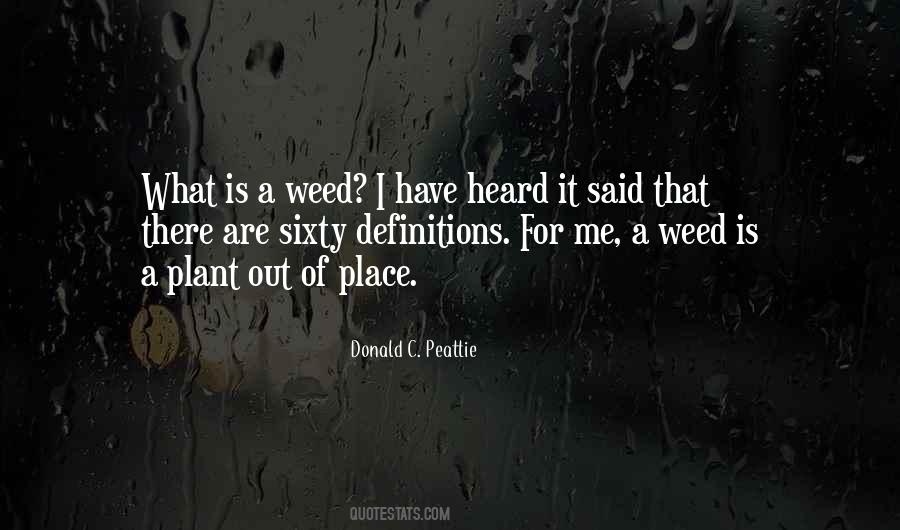 What Is A Weed Quotes #1170444