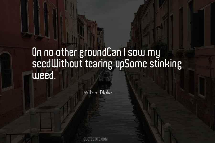 What Is A Weed Quotes #153320