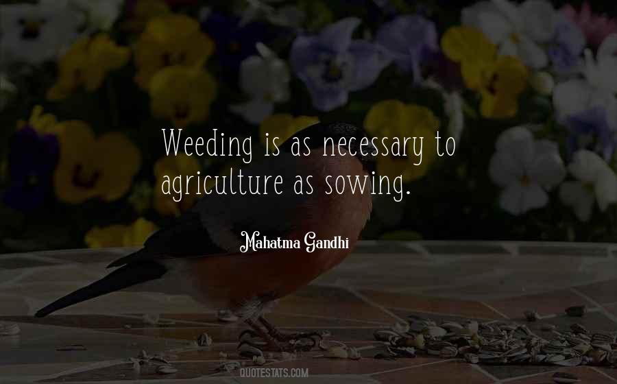 What Is A Weed Quotes #20468