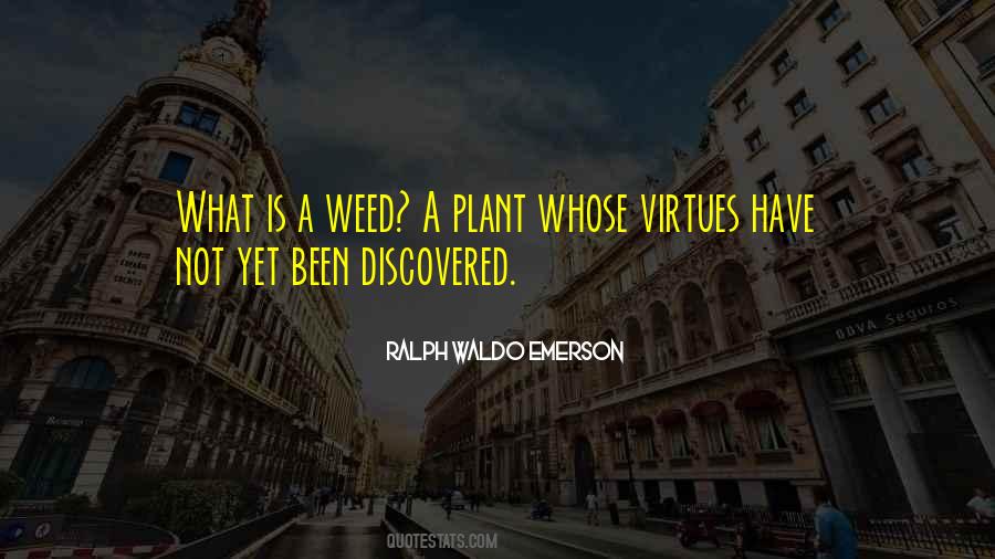 What Is A Weed Quotes #850631