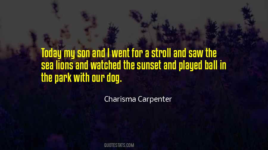 Stroll In The Park Quotes #865317