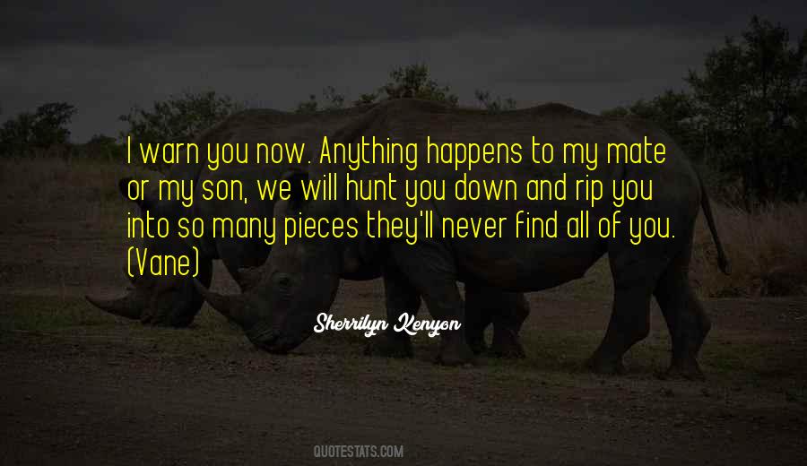 So Into You Quotes #90596