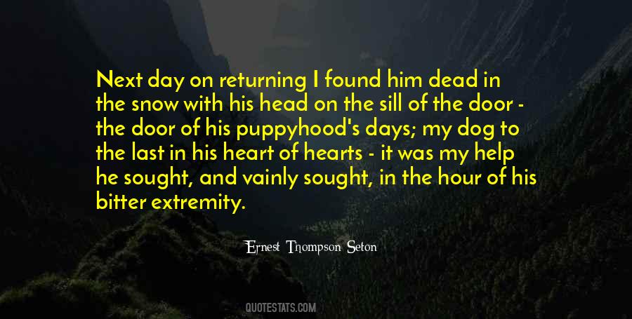 Bitter Hearts Quotes #1356069