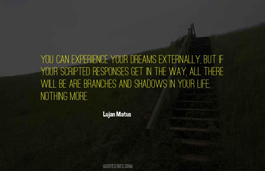 Quotes About Shadows In Your Life #922092