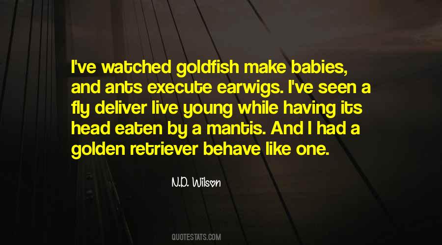 Babies Young Quotes #1123242