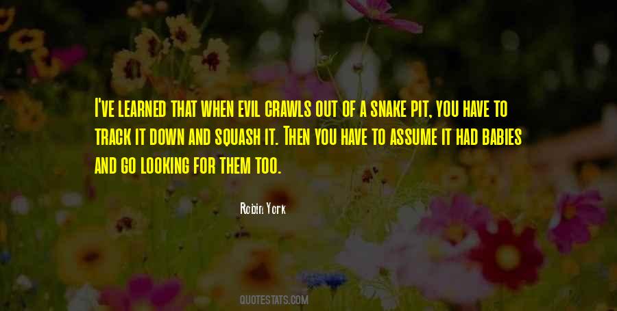 When You Go Down Quotes #1299007