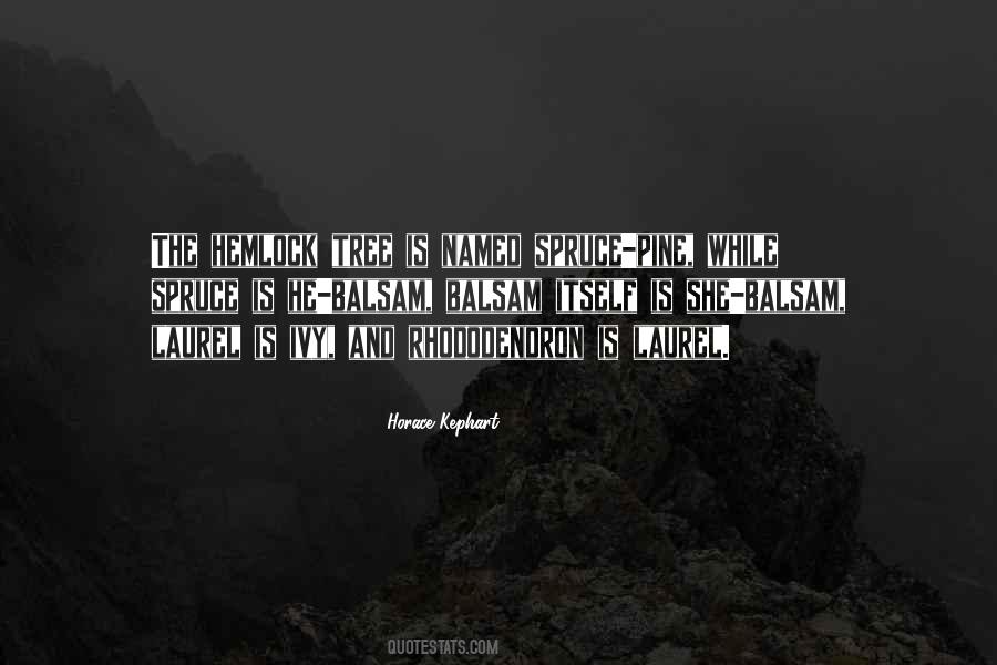 Quotes About Hemlock Tree #981645