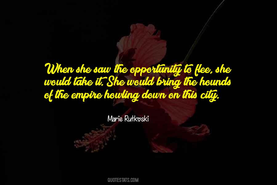 Take Opportunity Quotes #312929