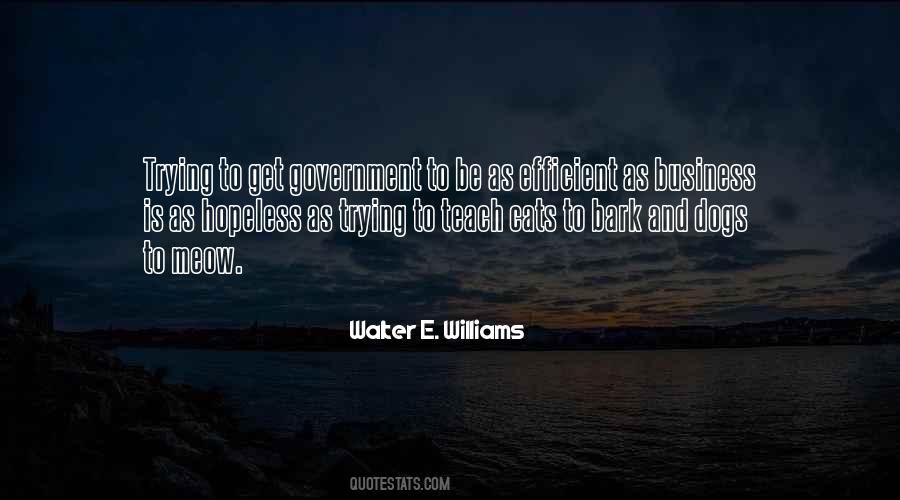 Efficient Government Quotes #1417191