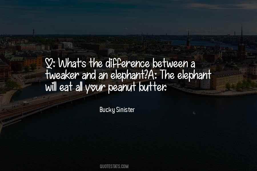 Eat An Elephant Quotes #1135090