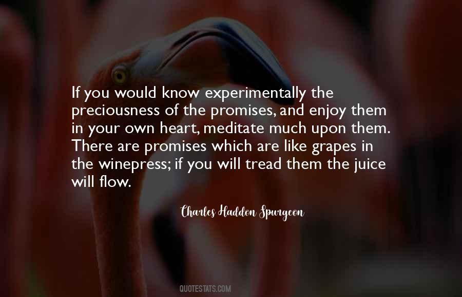Enjoy The Flow Quotes #134765