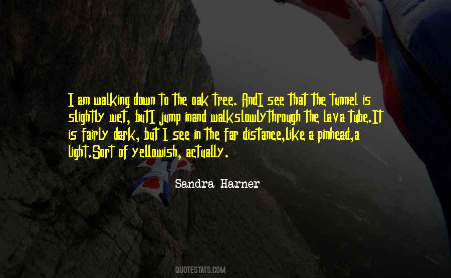 Light Tunnel Quotes #1570346