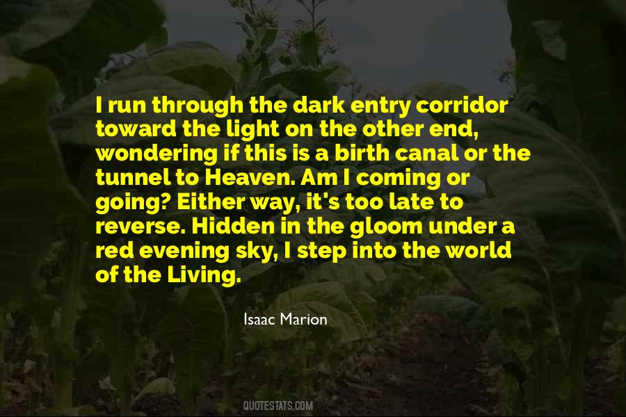 Light Tunnel Quotes #1608922