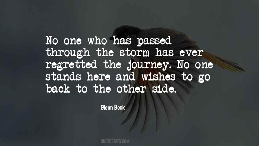 The Storm Has Passed Quotes #1149186