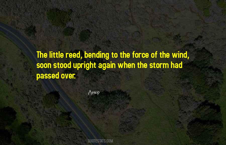 The Storm Has Passed Quotes #164529