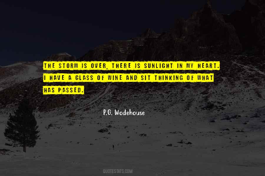 The Storm Has Passed Quotes #865101