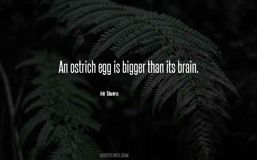 Egg Quotes #1084210