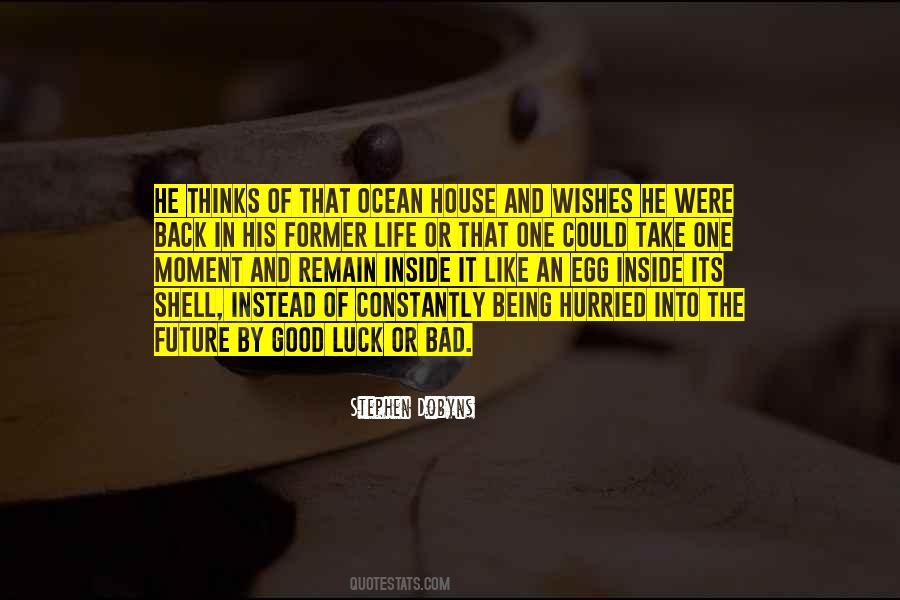Egg Shell Quotes #455228