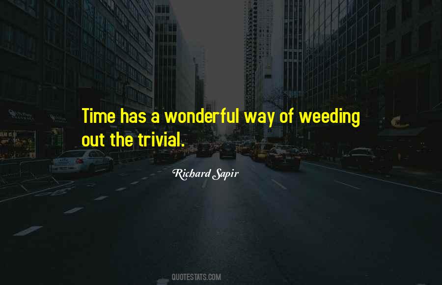 Wonderful Birthday Quotes #919652