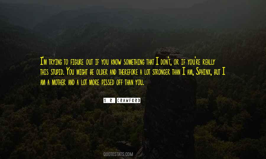I Am More Stronger Quotes #1877461