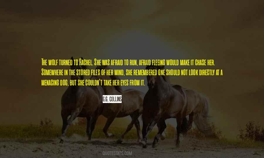 When I Look Into The Eyes Of An Animal Quotes #140852