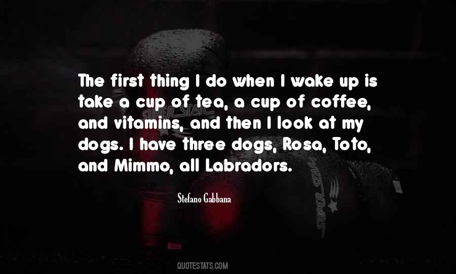 When I Wake Up Quotes #1459857